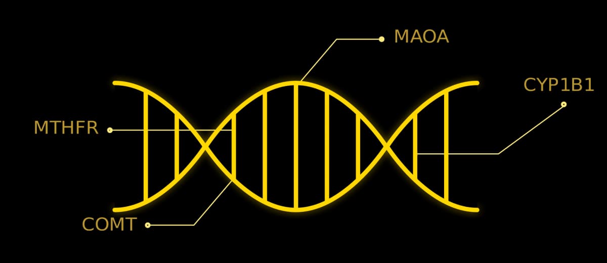DNA helix showing genes analyzed in the Rebuilt 35-gene panel