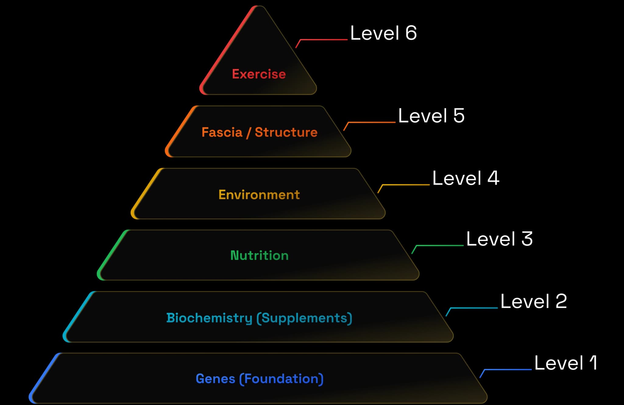 Rebuilt health pyramid: genes at the foundation, then biochemistry, nutrition, environment, structure, and exercise